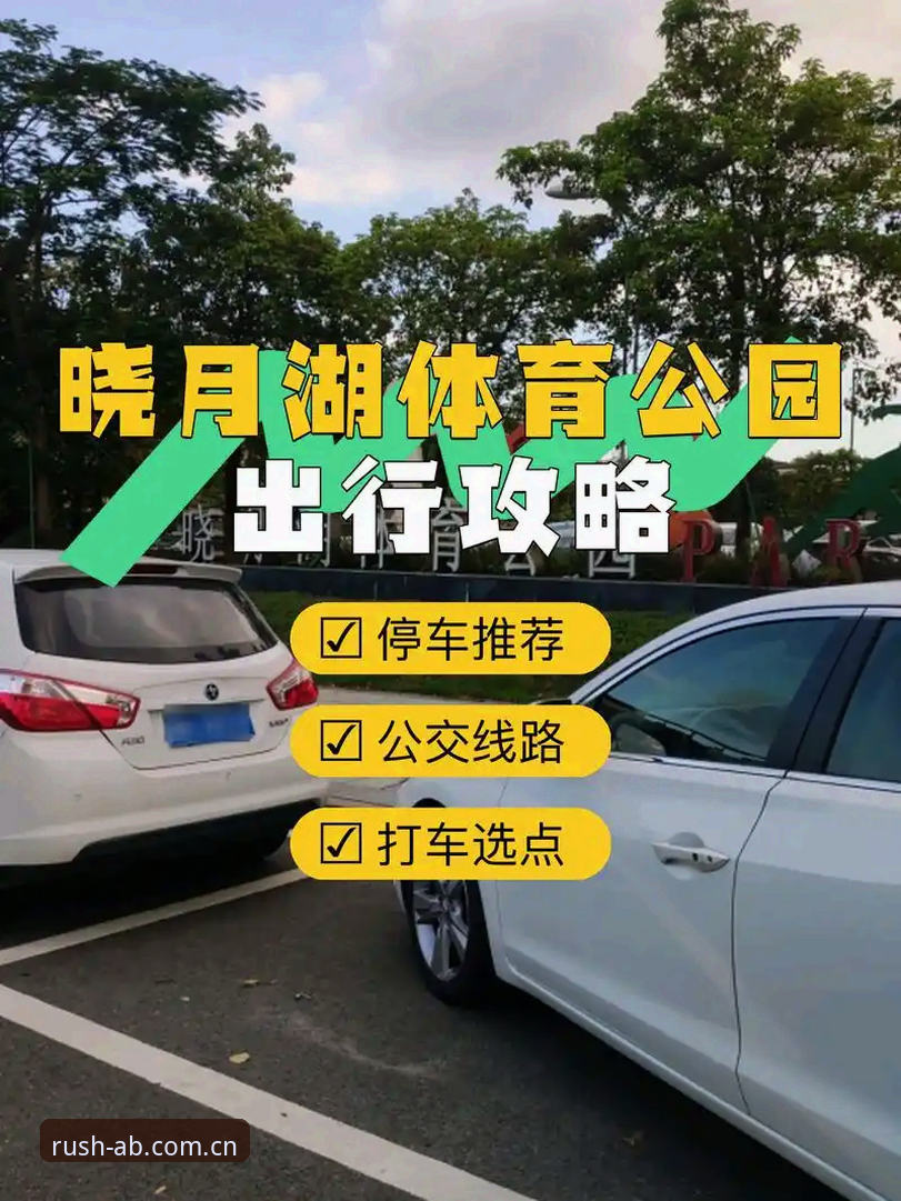 老用户实测体育娱乐中国区安卓客户端手机版：从下载到推送，这几步做对了才省心